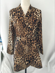 Autumn and Winter V-Neck Print Leopard Dress