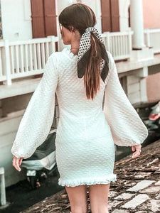 Solid Color Long Sleeve Button Mini Dress