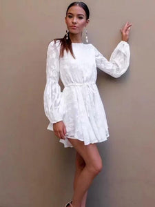 White Long Sleeve Autumn Mini Dress