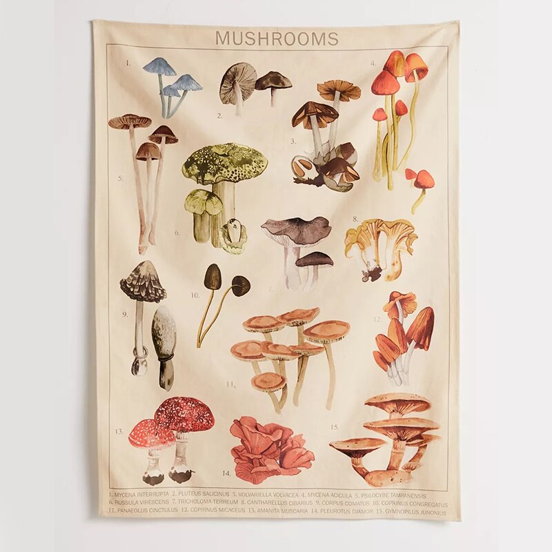Mushroom Tapestry Wall Decor Mycology Mushroom Champignon Identification Chart Diagram Illustration Wall Art Boho Decor