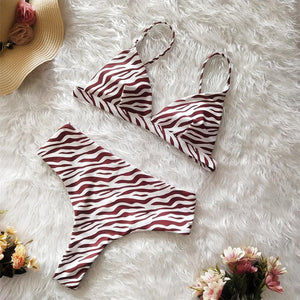 Two Colors Leopard High Waist Ladies Bikini Two-piece